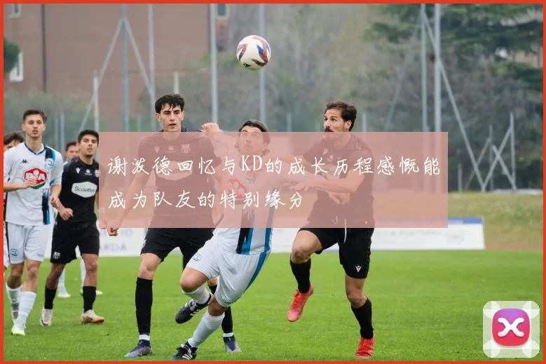 谢泼德回忆与KD的成长历程感慨能成为队友的特别缘分
