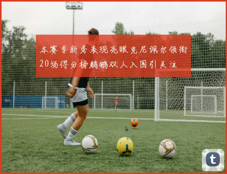 本赛季新秀表现亮眼克尼佩尔领衔20场得分榜鹈鹕双人入围引关注