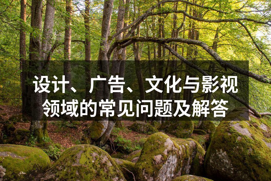 设计理念的多样性